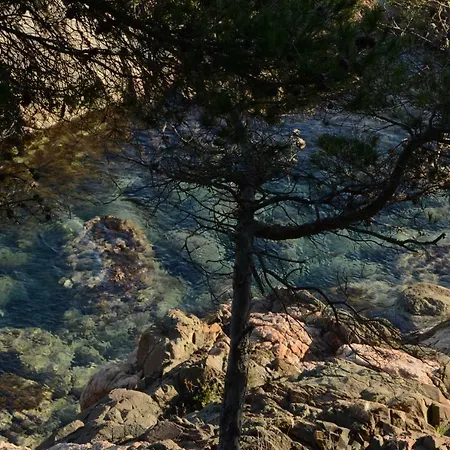 Puig Rumi Palafrugell