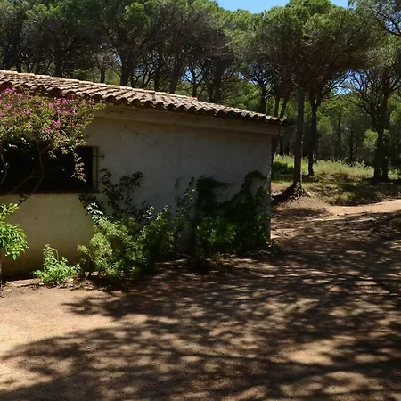 Puig Rumi Palafrugell
