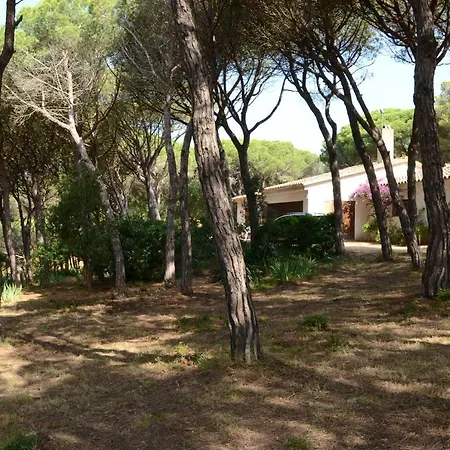Puig Rumi * Palafrugell